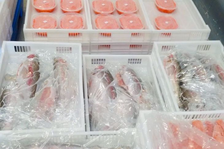 La trucha arco iris producida en Neuquén se posiciona como una alternativa competitiva en la gastronomía internacional.