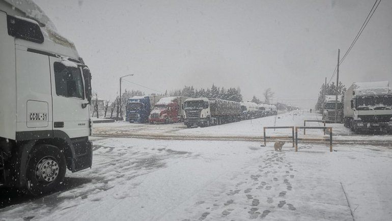 Desesperado pedido de camioneros varados hace dos semanas para abrir Pino Hachado