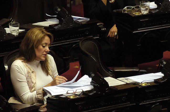 Comelli dijo que Diputados tratará el proyecto la semana próxima.