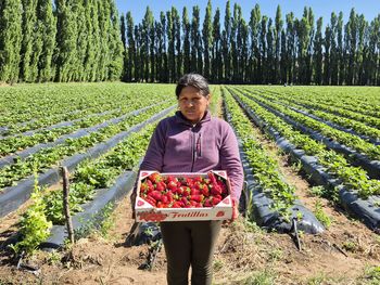 vuelve la feria a neuquen capital con precios imbatibles