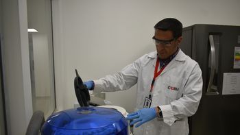 El Panorama Completo contra el Hambre. La Genómica, a diferencia de la genética tradicional, nos da una fotografía gran angular para ver la interacción de miles de genes.