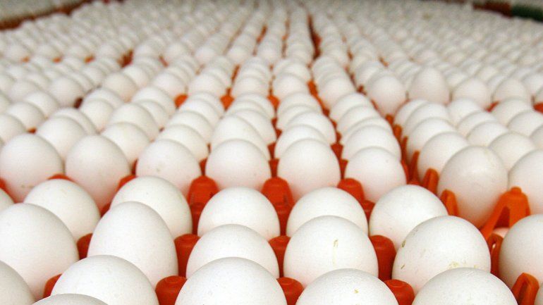 Decomisaron 3600 docenas de huevos en un operativo