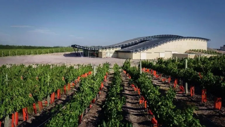 Debuta el primer vino patagónico del exportador líder de Argentina