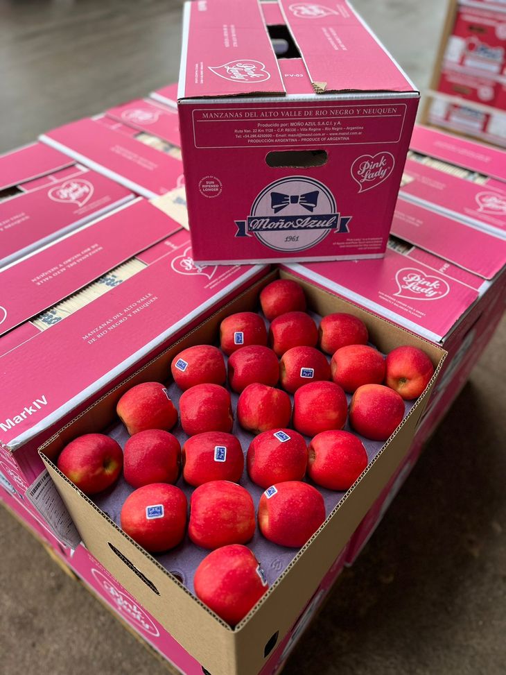 La nueva caja para esta temporada. Con las dos marcas se buscará potenciar las ventas de esta selecta variedad de manzana. La nueva caja para esta temporada. Con las dos marcas se buscará potenciar las ventas de esta selecta variedad de manzana.