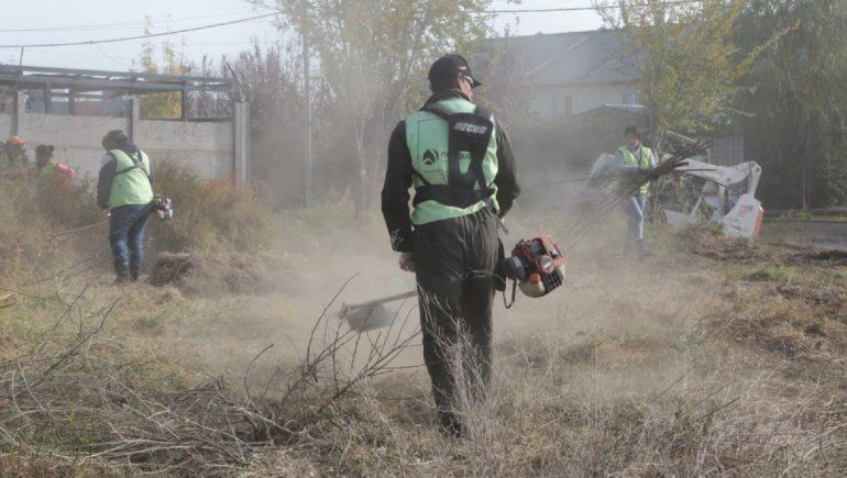 Cómo esconden los terrenos que juntan mugre: las multas para los privados, por las nubes