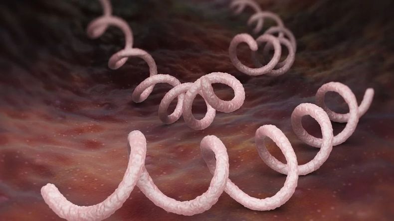 Alarmante aumento de sífilis y gonorrea en Europa
