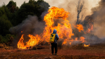 Los incendios en Chile fueron devastadores. Los incendios en Chile fueron devastadores.