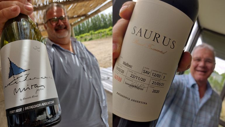 12 vinos fuera de serie para conocer el sabor de la Patagonia