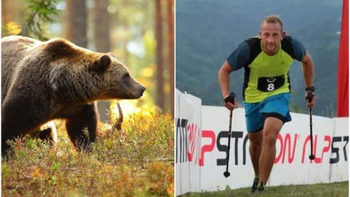 debate por pena de muerte a una osa que mato a un corredor debate por pena de muerte a una osa que mato a un corredor