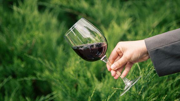 Mientras el consumo de vino cae, Argentina vive un boom orgánico.&nbsp;