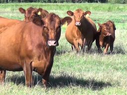 El relevamiento de la información se hace con el aporte de las agencias y experimentales del INTA en la Patagonia. El relevamiento de la información se hace con el aporte de las agencias y experimentales del INTA en la Patagonia.