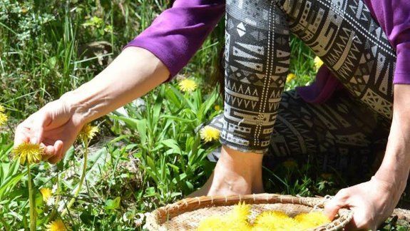 Sanar de forma natural. La naturista remarcó que, si se usan como alivio a determinados síntomas y para prevenir males futuros, las plantas sanan y eso está comprobado: las avalan miles y miles de años de experiencia práctica.