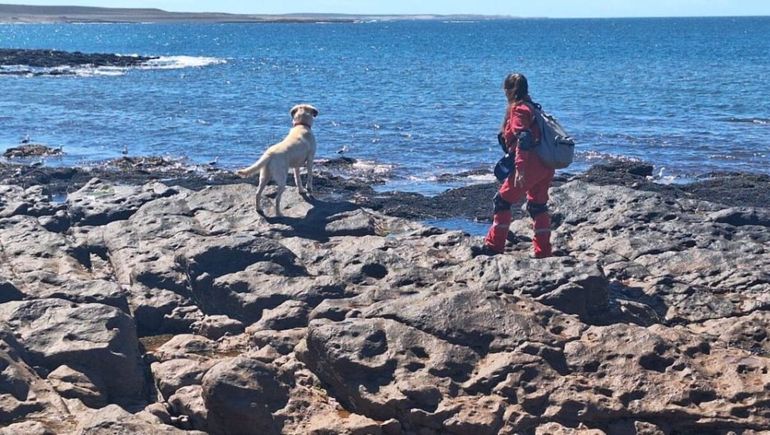 Buscan en la costa de Chubut a los jubilados de Comodoro Rivadavia desaparecidos.