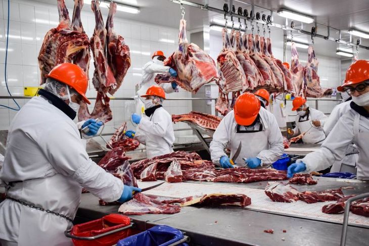 Con menos animales procesados y menor producción, la industria frigorífica enfrenta un escenario complejo. Con menos animales procesados y menor producción, la industria frigorífica enfrenta un escenario complejo.