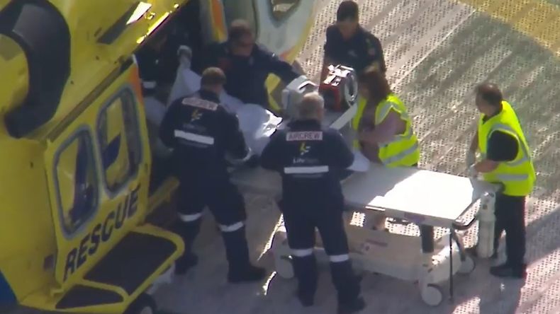 La víctima del ataque de la leona tuvo que ser trasladada de urgencia en helicóptero, por la gravedad de sus heridas.