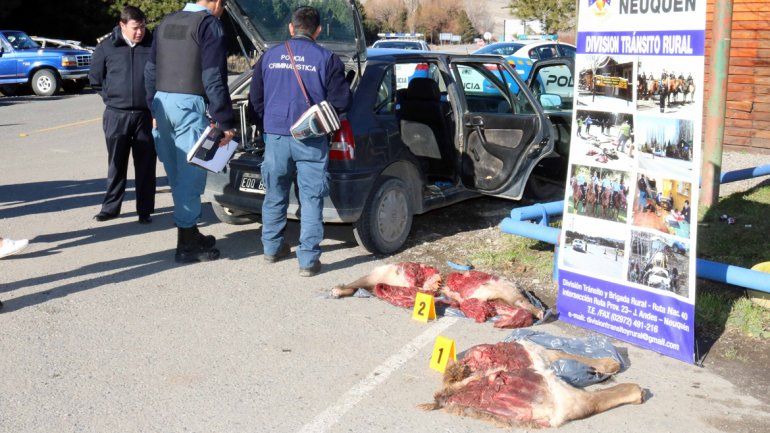 En temporada alta crecen los incidentes de caza furtiva y faena ilegal. Ayer secuestraron partes de dos ciervos. En la maniobra utilizaron dos autos.