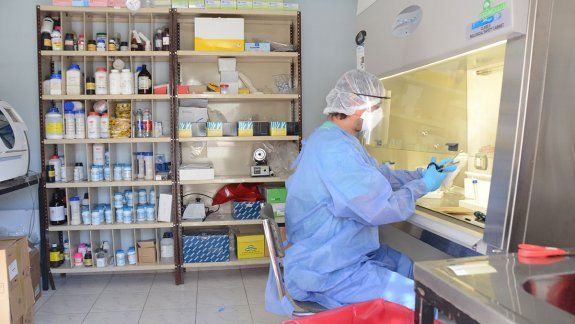 Un muerto y más de 1.000 casos activos en la Provincia