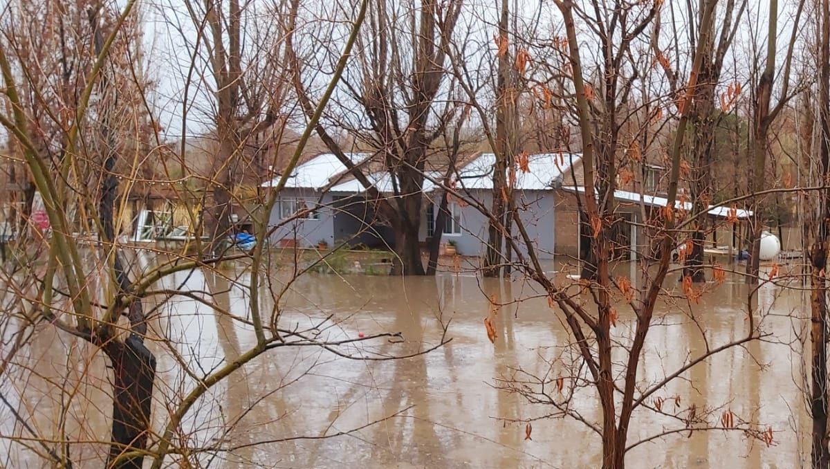 Temporal: una por una