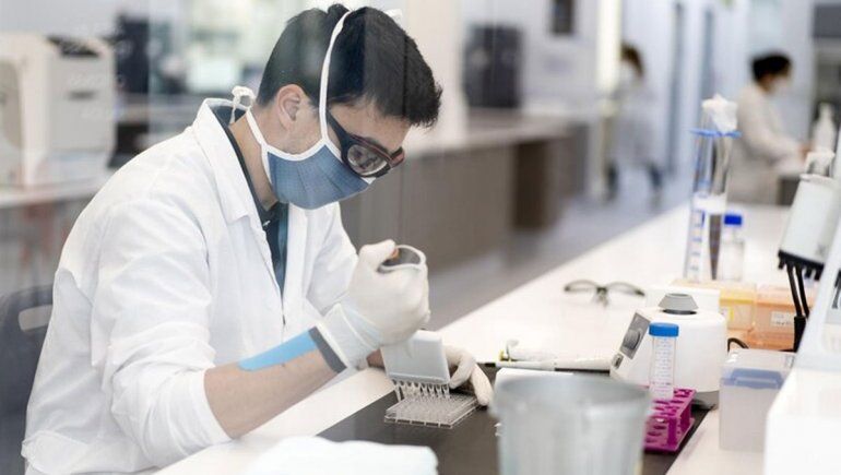 Coronavirus: reportaron 6826 casos positivos y 42 muertes