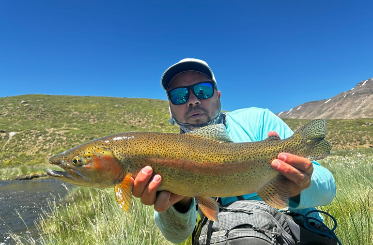 Pieza obtenida en Los Cerrillos.