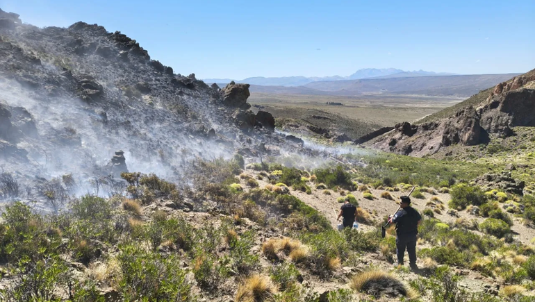 Neuquén enfrenta incendios a diario.
