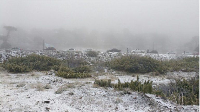 Largas colas y hielo en el paso Pino Hachado
