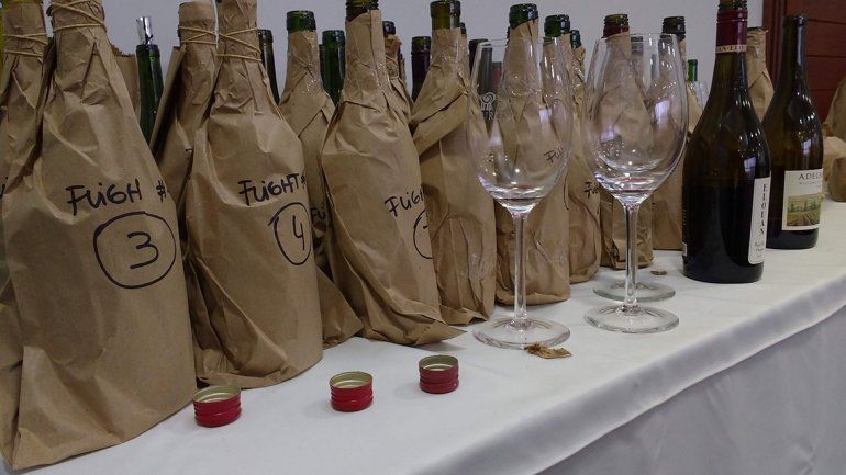 Pinot Noir patagónico versus norteamericano