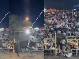 Un toro fuera de control dejó a un hombre hospitalizado durante un rodeo en México. Un toro fuera de control dejó a un hombre hospitalizado durante un rodeo en México.