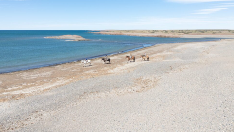Las playas de la Patagonia que parecen del Caribe, en el Portal Bahía Bustamante, en la costa atlántica de Chubut. Las playas de la Patagonia que parecen del Caribe, en el Portal Bahía Bustamante, en la costa atlántica de Chubut.
