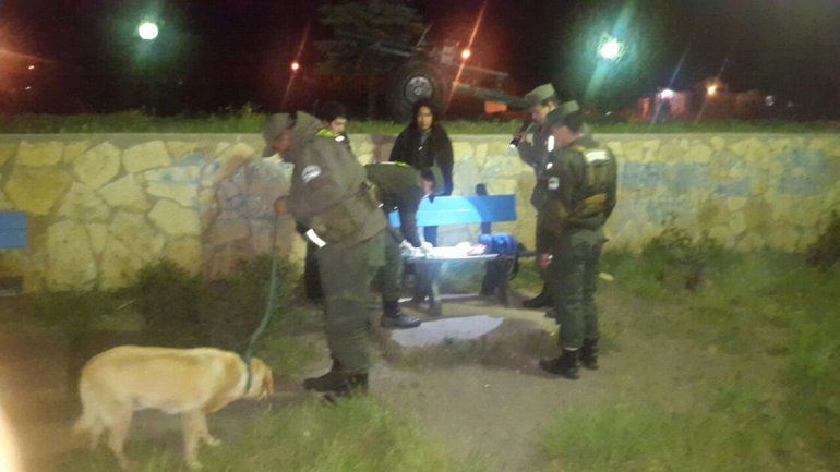 Gendarmería Nacional realizó el operativo en una plaza y secuestró un ladrillo de marihuana y más de 70 bagullos listos para la venta.