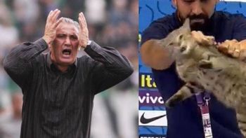 los memes mas divertidos de la eliminacion de brasil los memes mas divertidos de la eliminacion de brasil