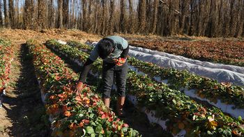 lanzan capacitacion clave en plottier para emprendedores lanzan capacitacion clave en plottier para emprendedores