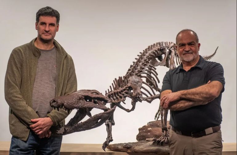 Este es el cocodrilo feroz que aterrorizaba la Patagonia: cómo era el Kostensuchus atrox