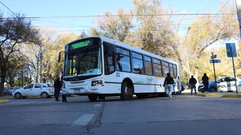 un colectivo choco a una mujer que cruzo la calle en pleno centro y fue trasladada al hospital castro rendon un colectivo choco a una mujer que cruzo la calle en pleno centro y fue trasladada al hospital castro rendon