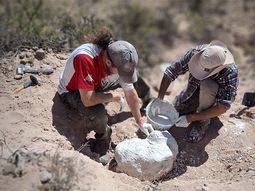 Los restos aparecieron en el Área Natural Protegida Paso Córdoba, ubicada en General Roca. Foto: Gentileza. Los restos aparecieron en el Área Natural Protegida Paso Córdoba, ubicada en General Roca. Foto: Gentileza.