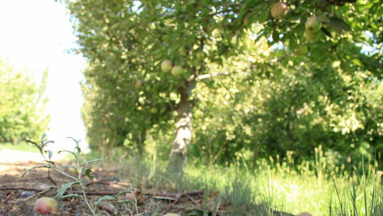 Fondo antigranizo: prorrogan pago de las cuotas vencidas