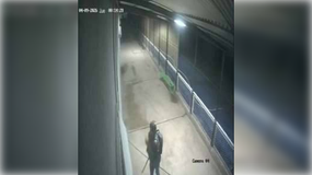 Un delicuente robó productos del buffet. | LM Neuquen Un delicuente robó productos del buffet.