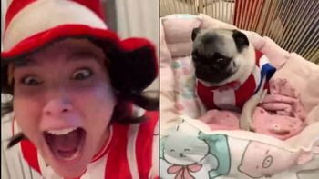 la reaccion viral del perro de lali gonzalez tras el triunfo de paraguay la reaccion viral del perro de lali gonzalez tras el triunfo de paraguay