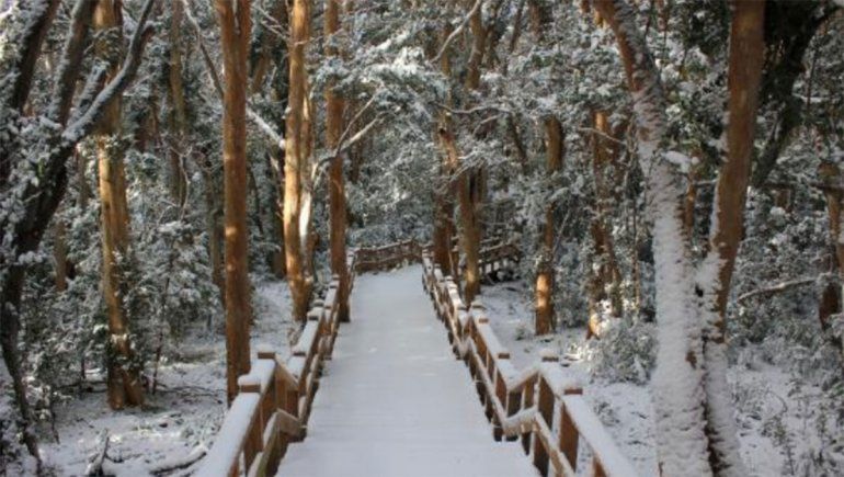 Por peligro de avalanchas, cierran senderos en Nahuel Huapi