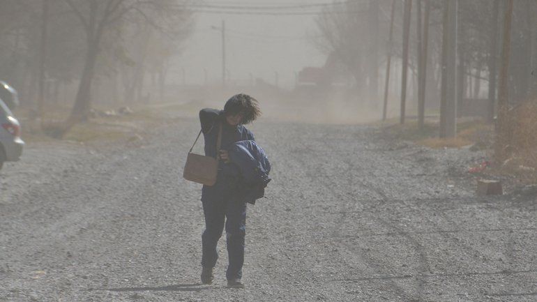 Lo que el viento dejó: dos muertos, vecinos sin luz, 100 evacuados y 122 árboles caídos