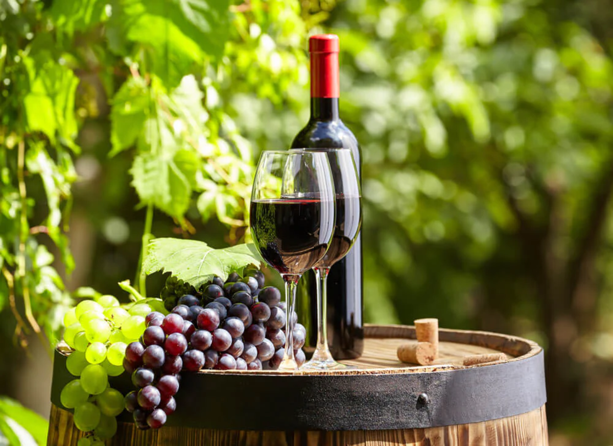 La filosofía del vino: los vinos de montaña versus los vinos del llano