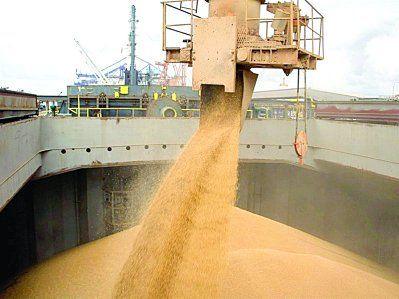 El Ministerio abrió parcialmente las exportaciones de maíz.