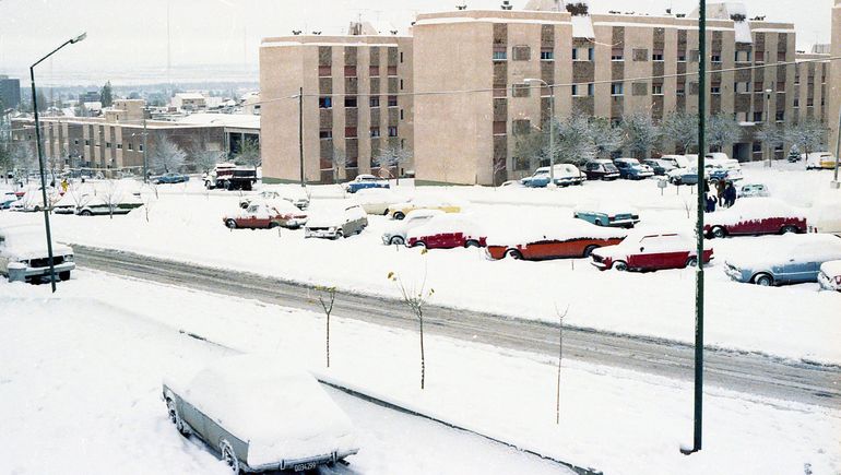 Una gran nevada sorprendió a los neuquinos a dos días de terminada la guerra (Foto: Rodolfo Laffitte)