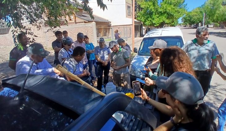 El éxito del control de la mosca es crucial para la fruticultura del sur, abriendo mercados que representan cientos de millones de dólares. El éxito del control de la mosca es crucial para la fruticultura del sur, abriendo mercados que representan cientos de millones de dólares.
