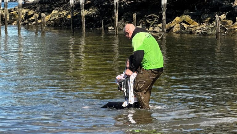 Paul Pinsdorf | LM Neuquen Paul Pinsdorf