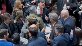 Diputados: oposición consiguió quorum para tratar el aumento de fondos para el Garrahan y las universidades