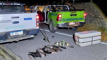 Las truchas incautadas. Las truchas incautadas.