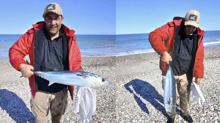 El pescador, un exótico pez y el divertido debate en las redes: ¿Lo pescó o lo encontró?