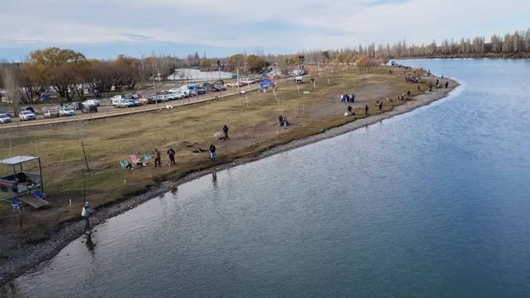 Mitos y verdades de las carpas: el pez que le cambió el color al río Limay