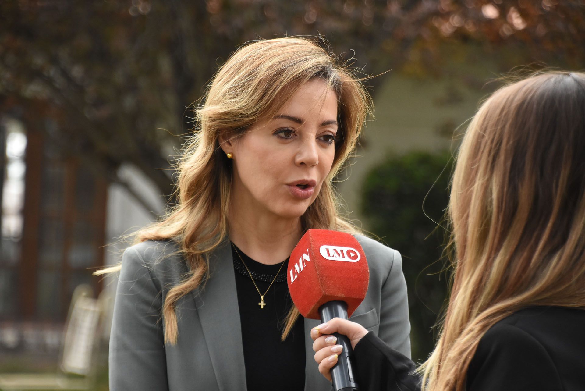 Flavia Royon: Este dólar es para sostener los niveles de inversión